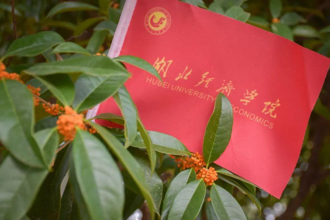 立冬時(shí)節(jié)秋韻濃！湖北高?！敖^美”風(fēng)景驚艷曝光：銀杏金黃，桂香十里！